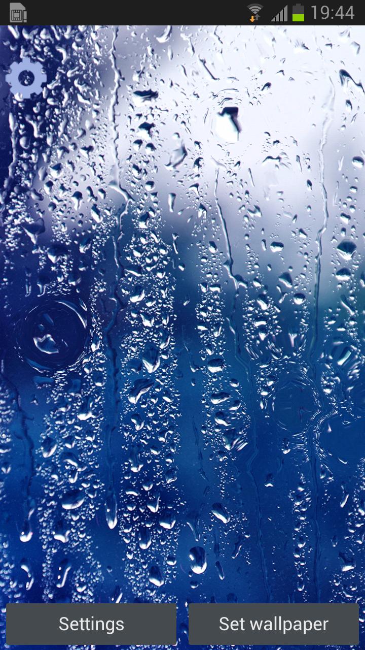 Rainy Day