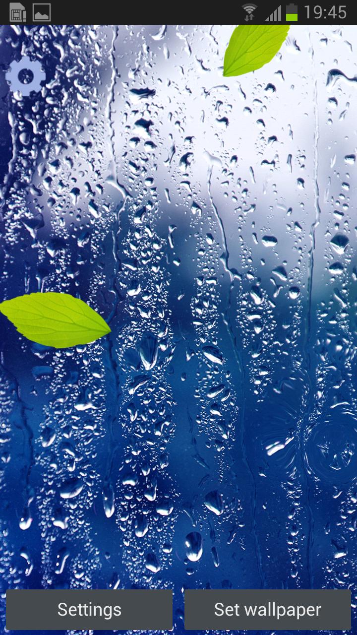 Rainy Day