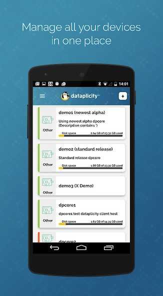 dataplicity - Terminal for Pi