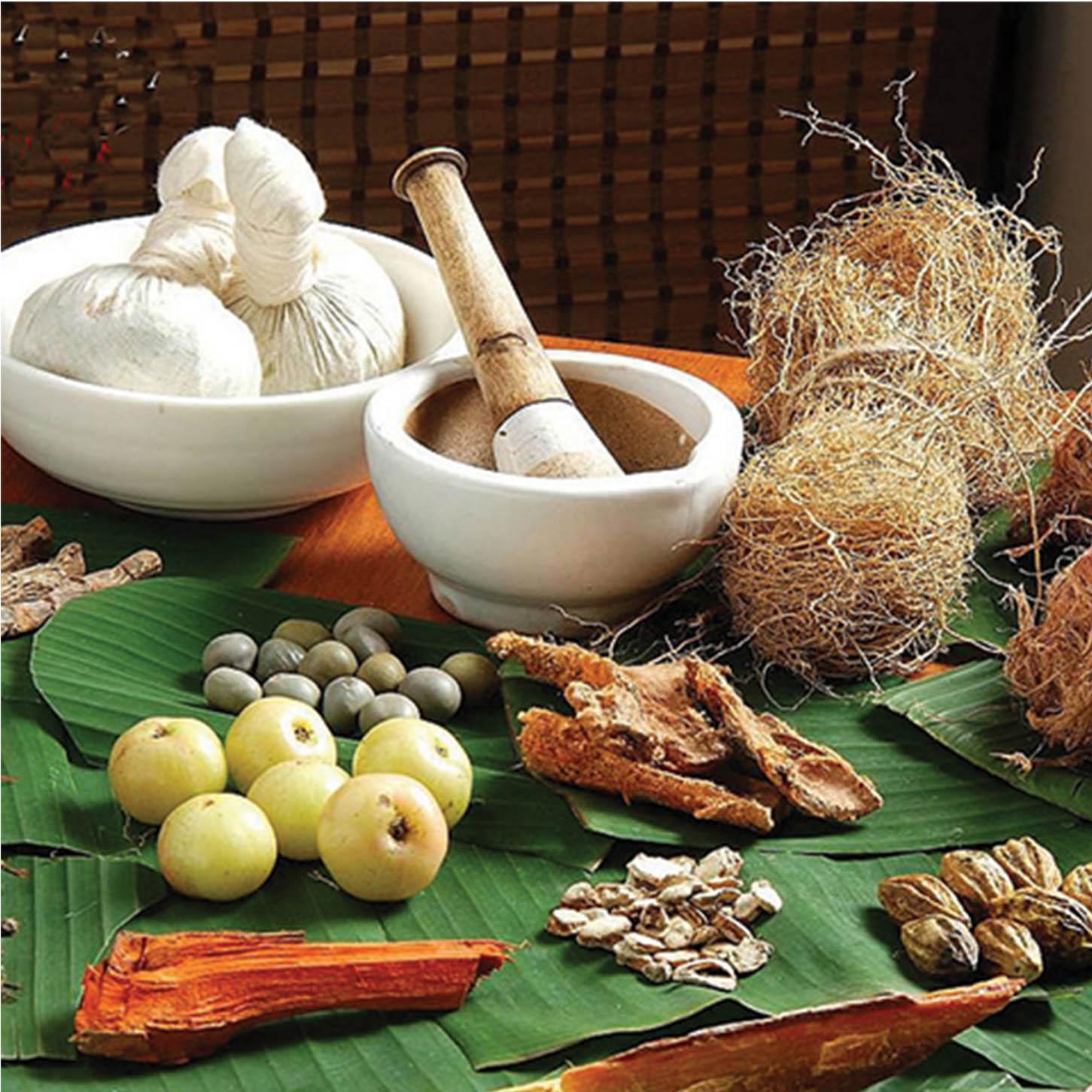 1001 Obat Tradisional