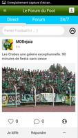 Algerie Fennecs