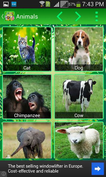 Zoo Voice