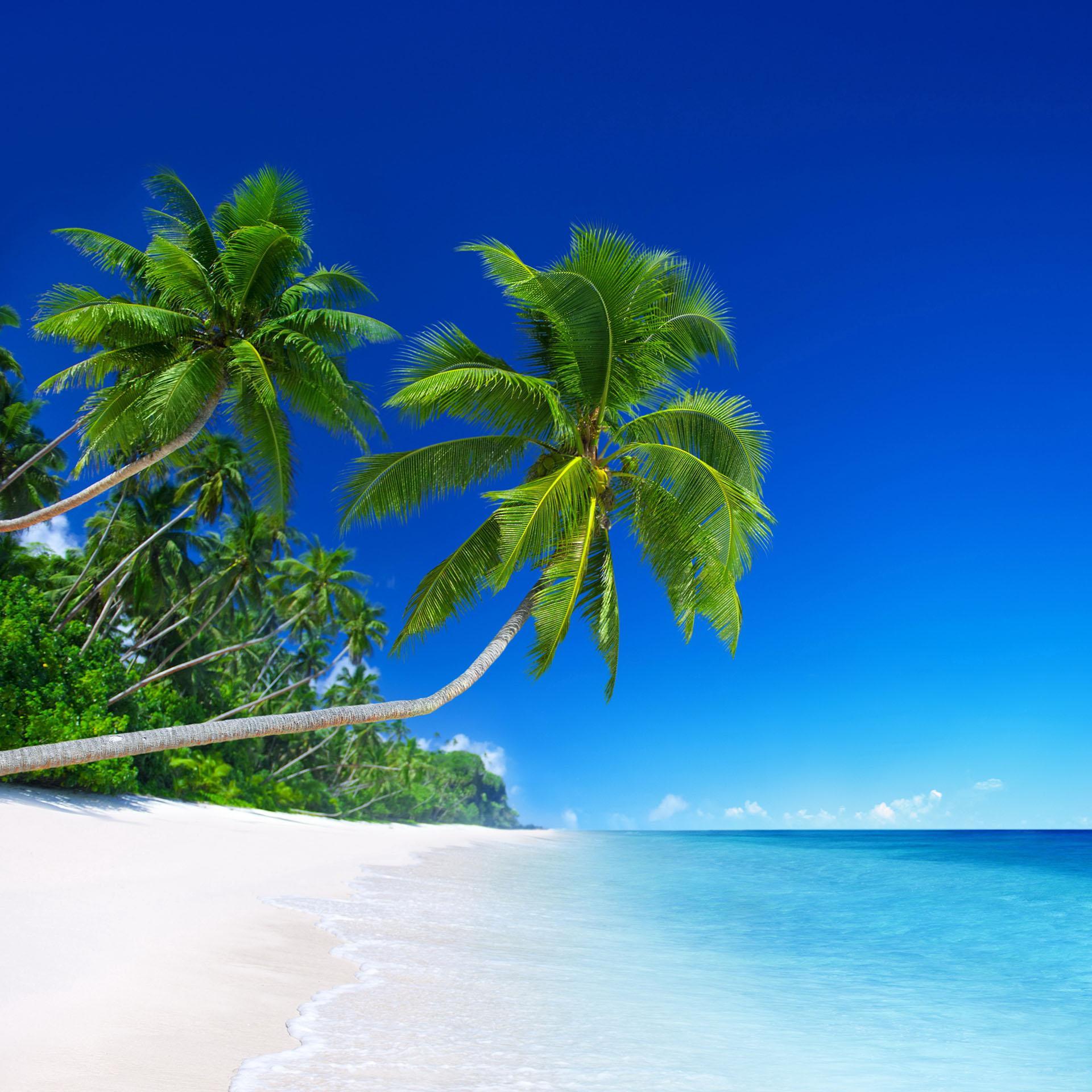 Beach live wallpapers