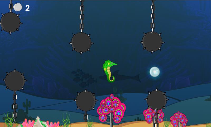 SeaHorse Swim Adventure