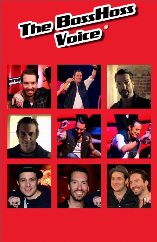 The Bosshoss Voice