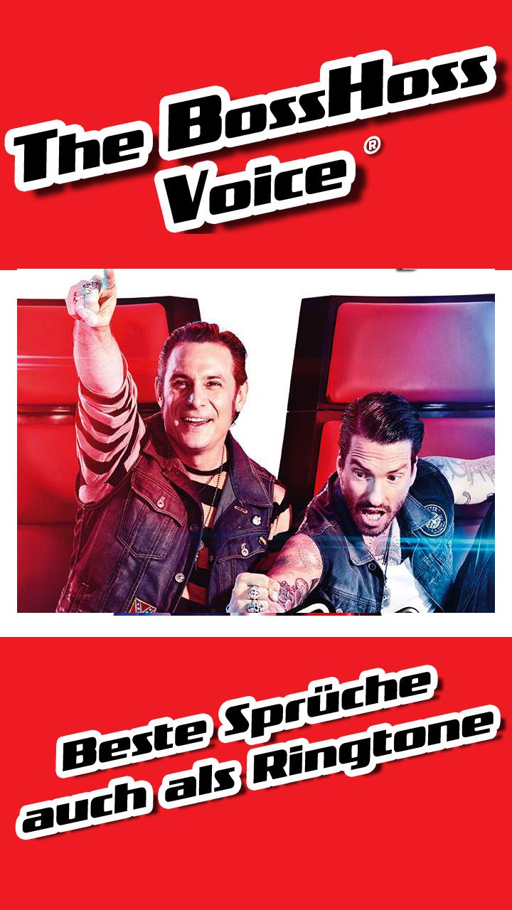 The Bosshoss Voice