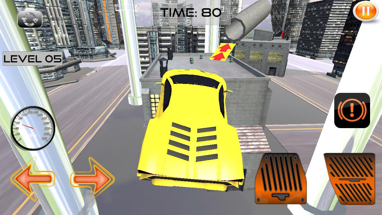 Crazy Car Rooftop Parking