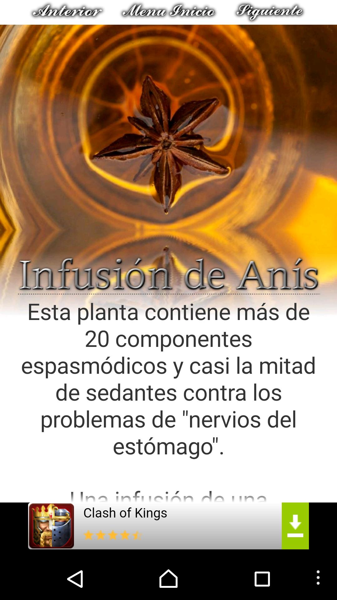 Remedios para la Gastritis