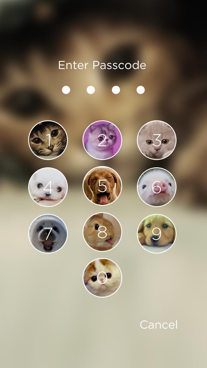 Lovers Photo Locker Theme