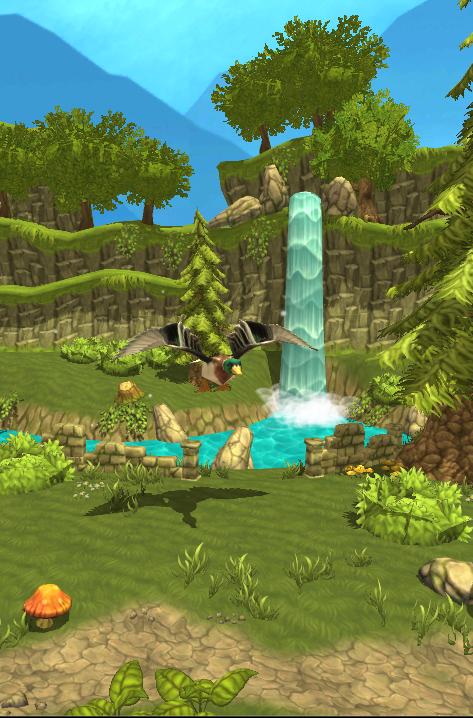 Tutorial Training Catch Animal