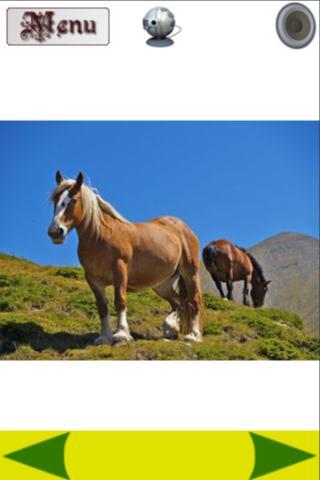 Kids Zoo - 3D Animated Animals