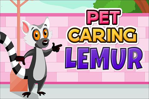 Pet Caring Lemur