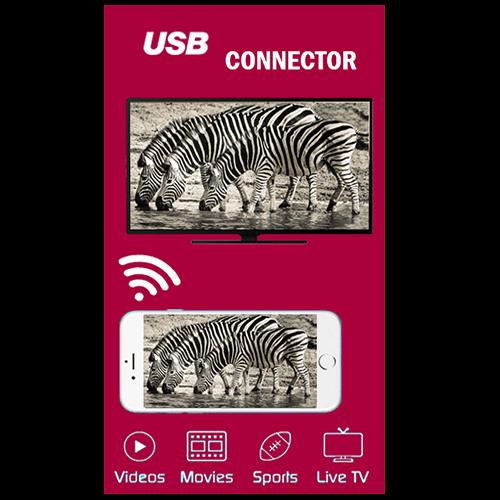 USB Connector ( Hdmi )