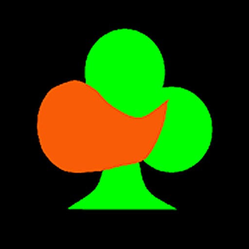 BJ Bridge Beginner (2024)