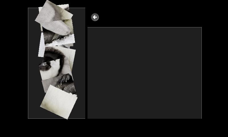 Jigsaw Puzzle Baby Animals