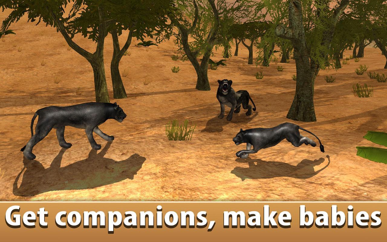 Wild Black Panther Simulator