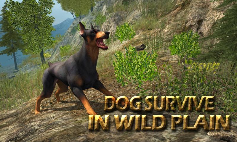 Dog Survive In Wild Plain