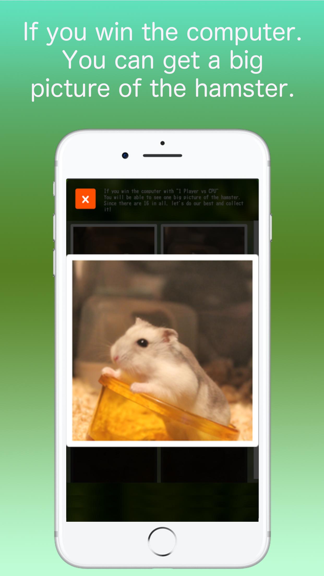 Hamster Memory Game