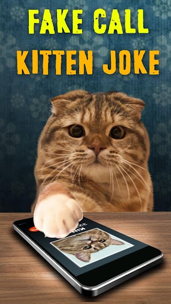Fake Call Kitten Joke