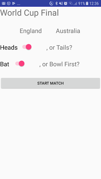 Cricket Simulator